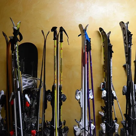 Cesa Rotic 卡纳泽伊