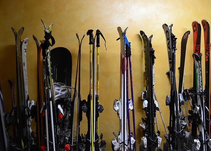 Cesa Rotic 卡纳泽伊